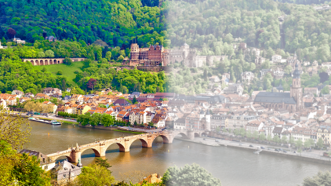 Sicht auf die Heidelberger Altstadt