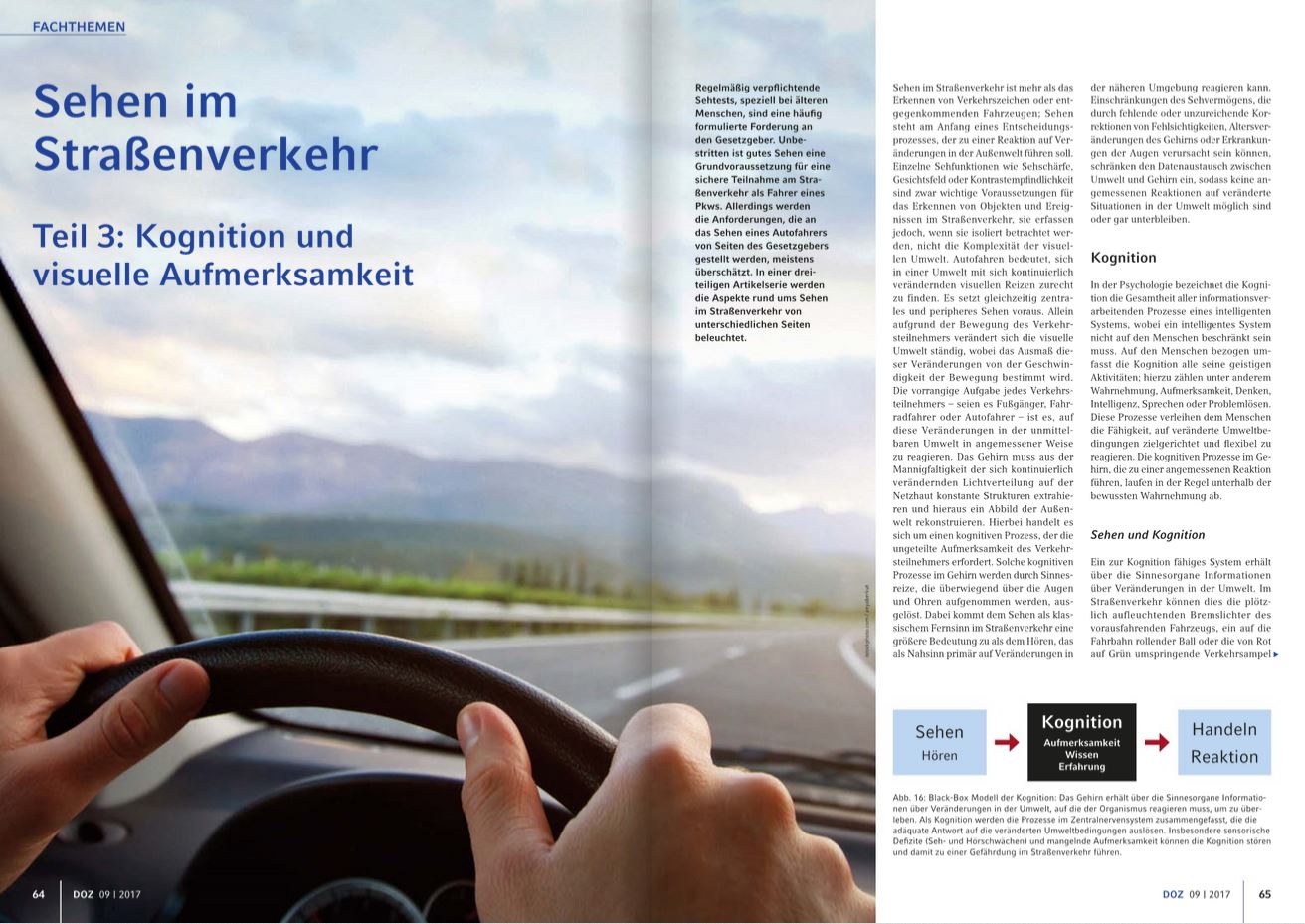 Fachthemqa Sehen im Straßenverkehr