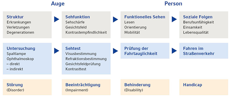 Unterscheidung zwischen Sehfunktionen und funktionellem Sehen 