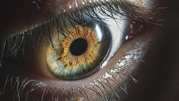 Auge Pupille Großaufnahme mit Spaltlampe