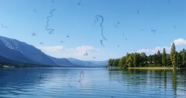 Sicht mit Floater 