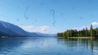Sicht mit Floater 