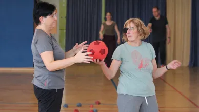 Rehasport Ball