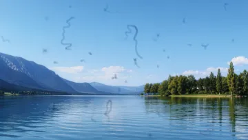Sicht mit Floater 