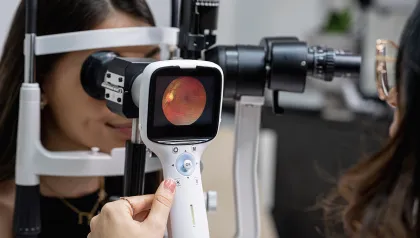 Fundus