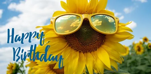 Grußkarte mit Sonnenblume