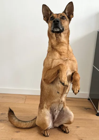 Amy