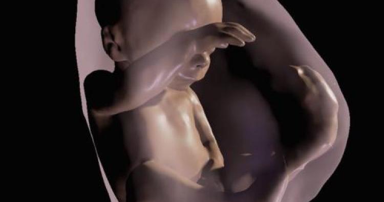 3D-Ultraschall-Bilder vom ungeborenen Baby