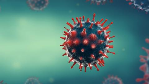 Bild eines Coronavirus - coloriert.
