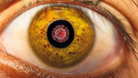 Pupille mit Corona-Virus darin