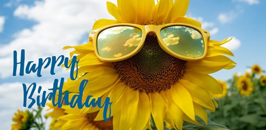 Grußkarte mit Sonnenblume